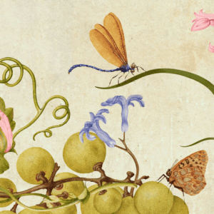 Vintage Botanical Dragonfly Wallpaper